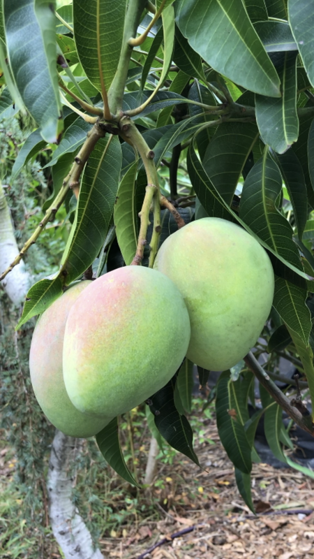 A44E0D9C-7411-4244-9588-EB08F47CAA05