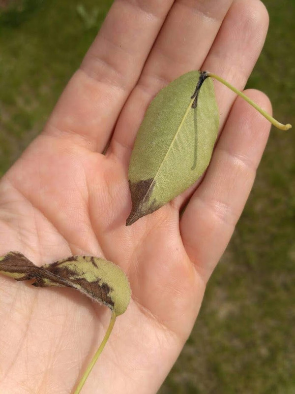 IMG-237990f522ef9f5fb72f06c95323dfe6-V