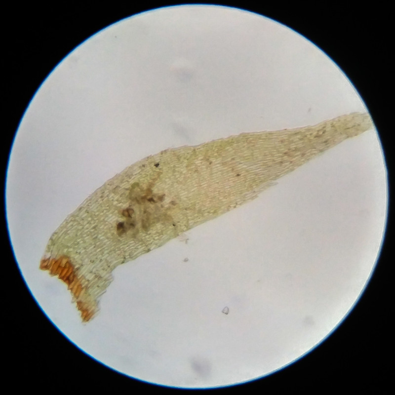 IMG 20250617 111726 HDR