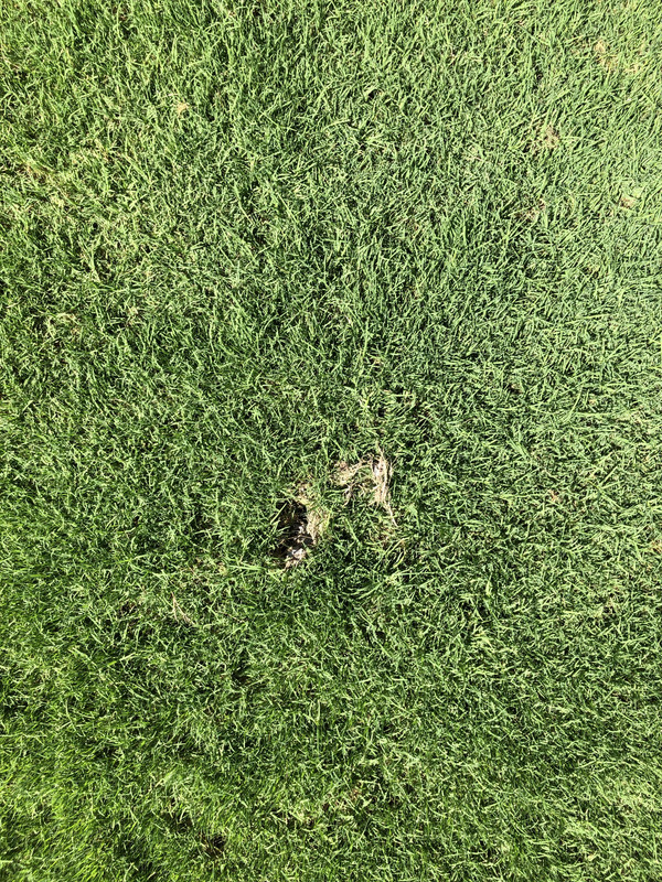 1C08F9AF-0A34-4407-A5D1-C1EE110FF8CC