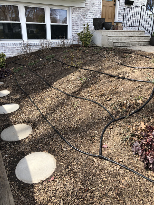 3D6A881D-2D03-4922-B9A2-E1D7307139EC