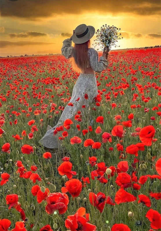 Screenshot_20240603_220249_Pinterest