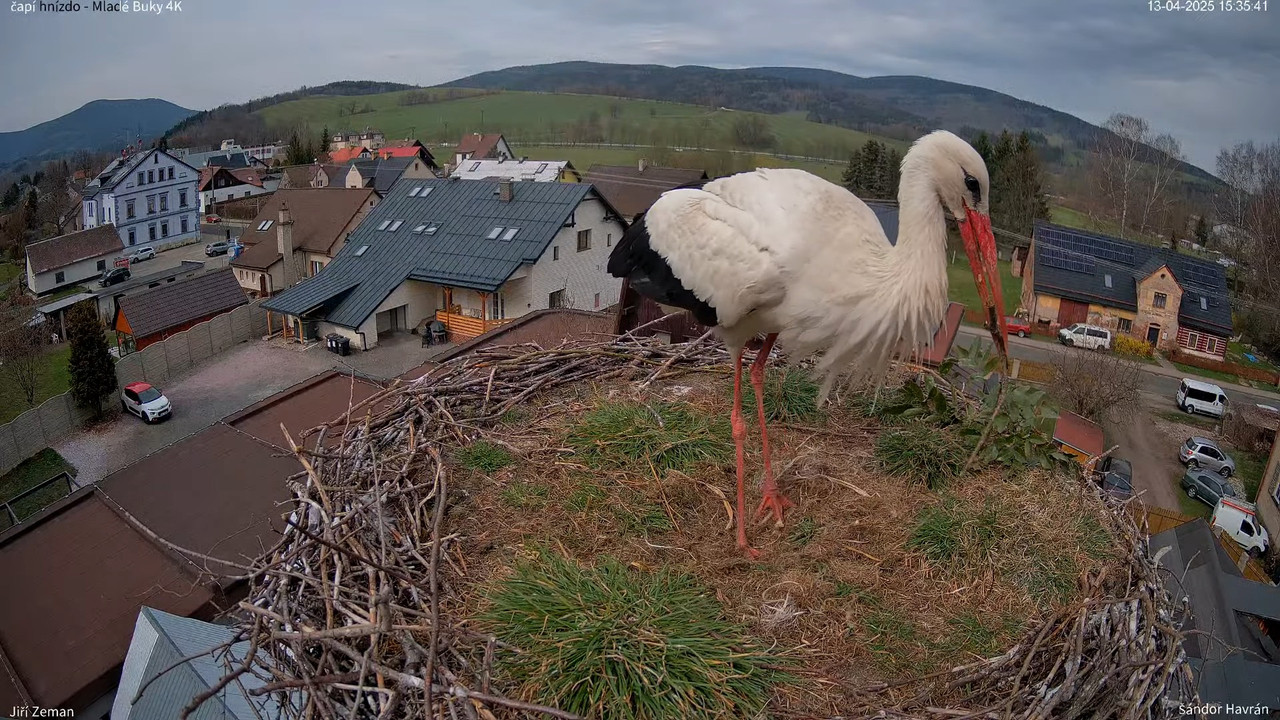 Tiešraides kamera — Mladé Buky — stārķa ligzda 4K 17-15-22 screenshot