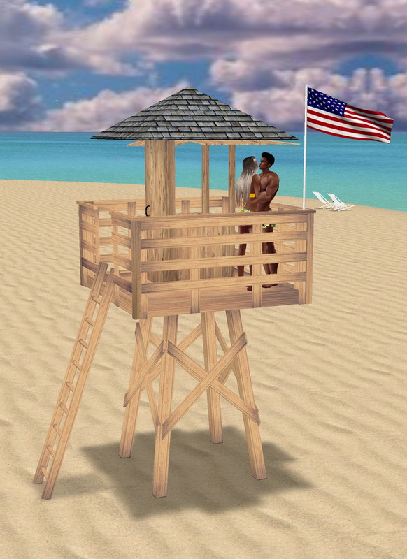 Lifeguard-Booth-Kiss-USA