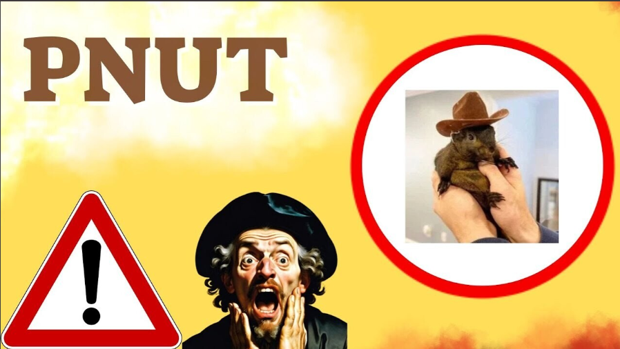 guide content image
