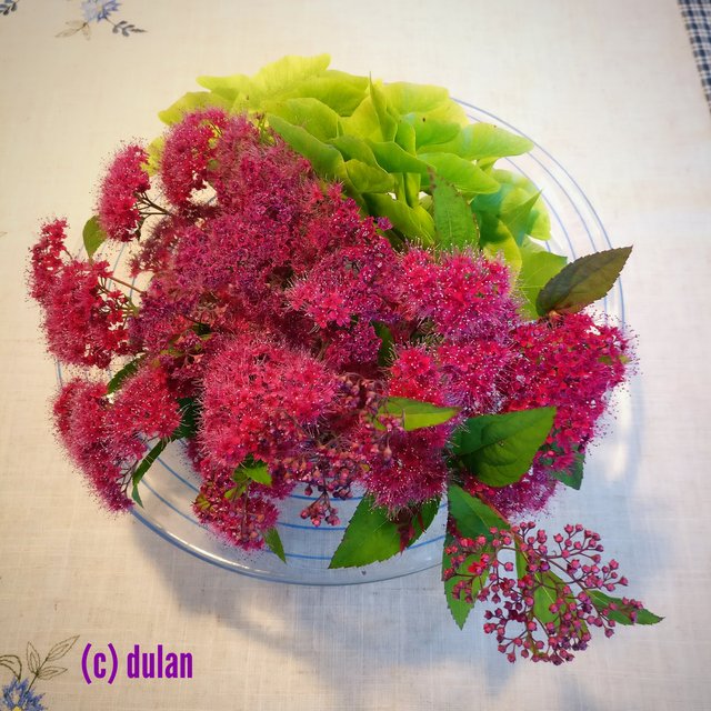 [Image: IMG-20240709-021614.jpg]