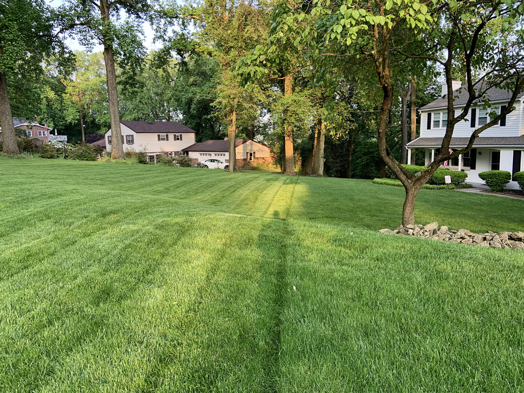 579C072C-4ECD-4460-8A29-5167AE95FB9A