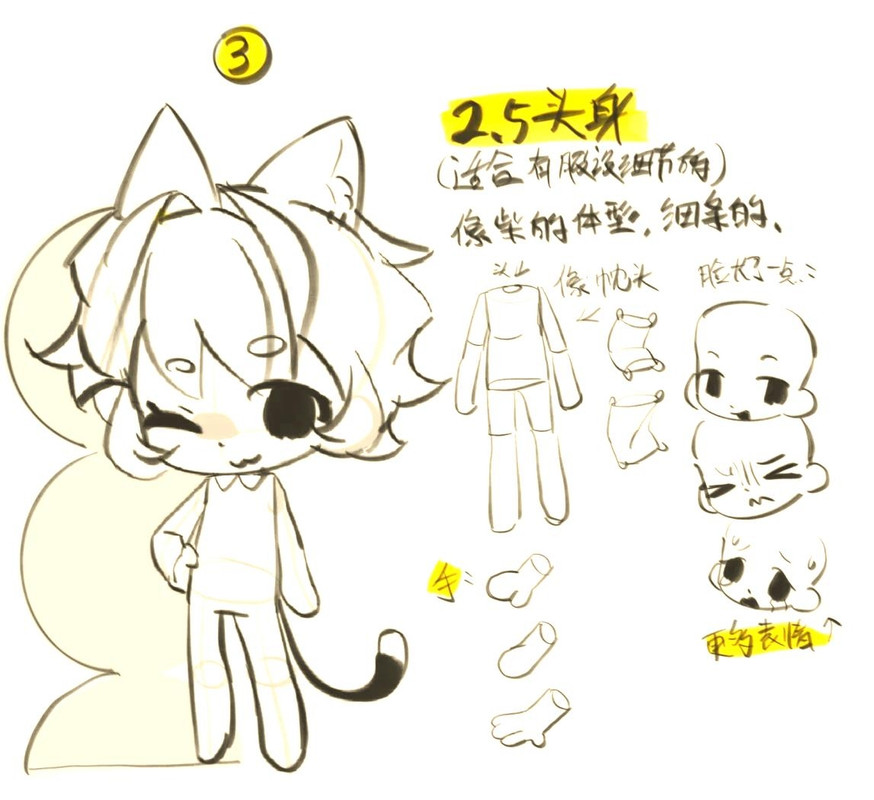 drawing skill of 2.5 head ratio