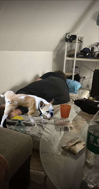 haiderhund.jpg