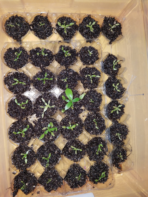 20200301_160638[435]