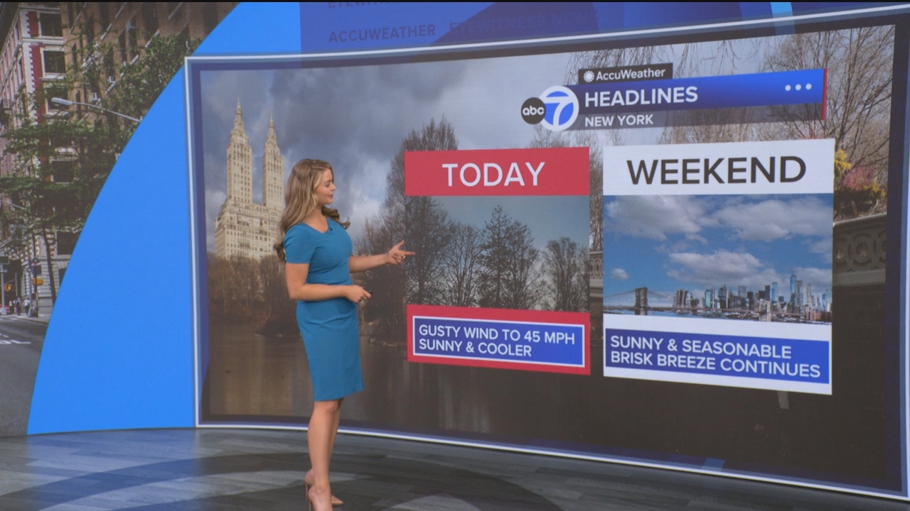 Eyewitness News Mornings at 10_20250307_15001600.ts_snapshot_47.05.632