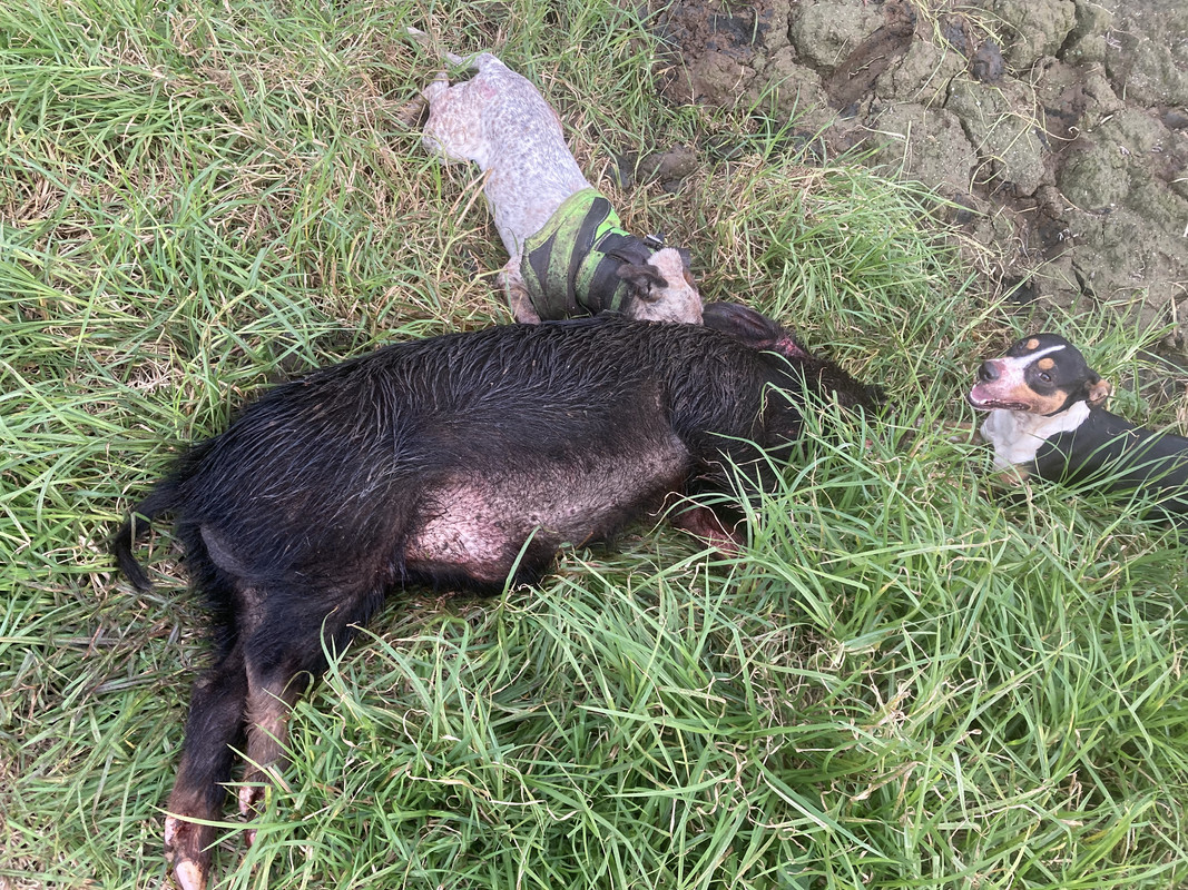 01ABE797-A8A2-4A6C-8079-6DC77584C39F