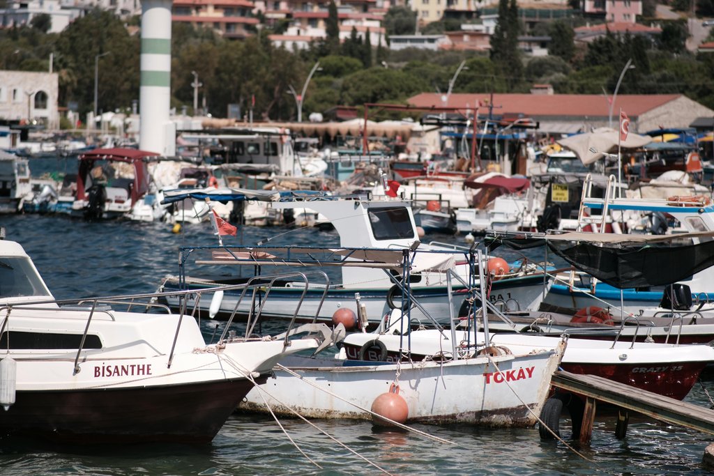 white-marina.jpg