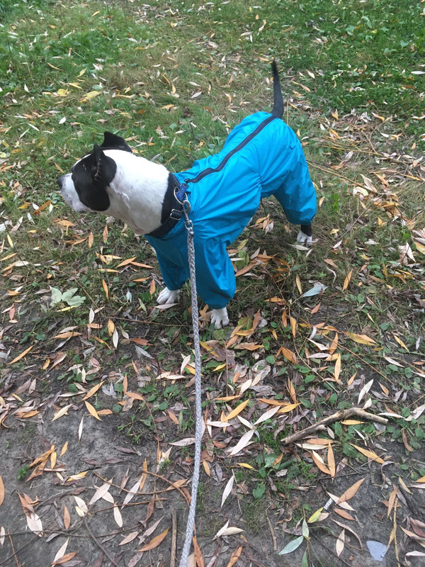 2A1164EF-1131-4A29-B36D-F16760D0F49C