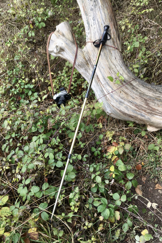 F4D58961-DB7D-40A1-9626-EC83ADE3F6BC