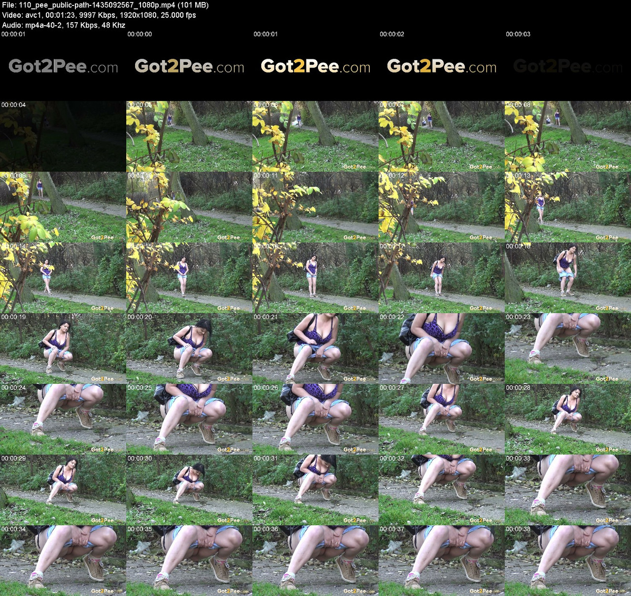 110 pee public path 1435092567 1080p