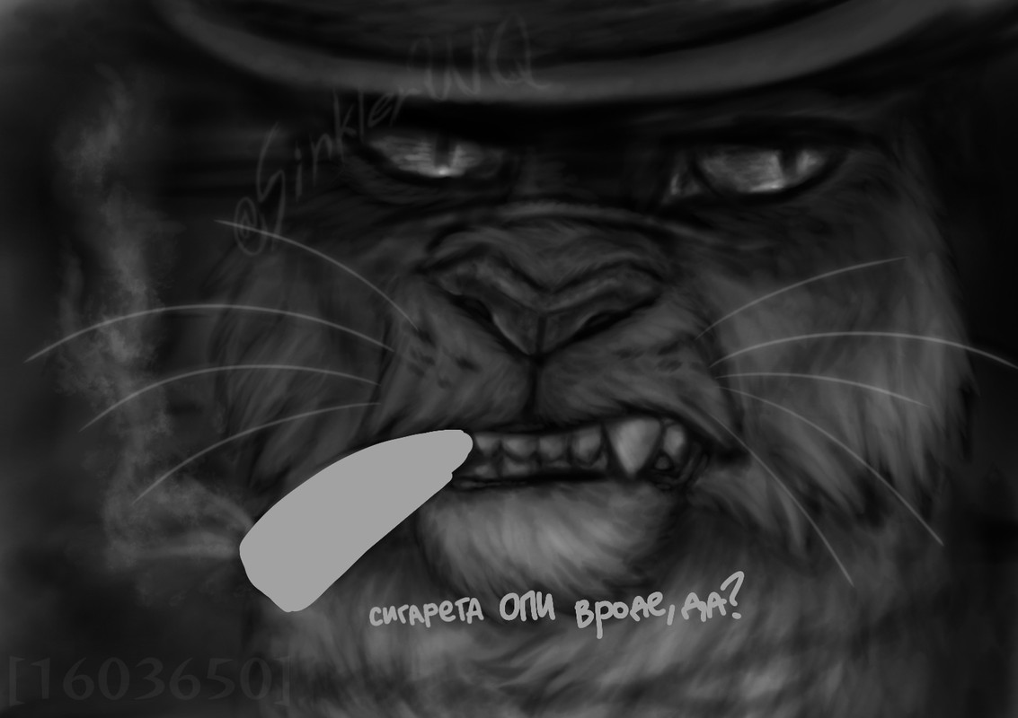 Без названия2019_20250617170948