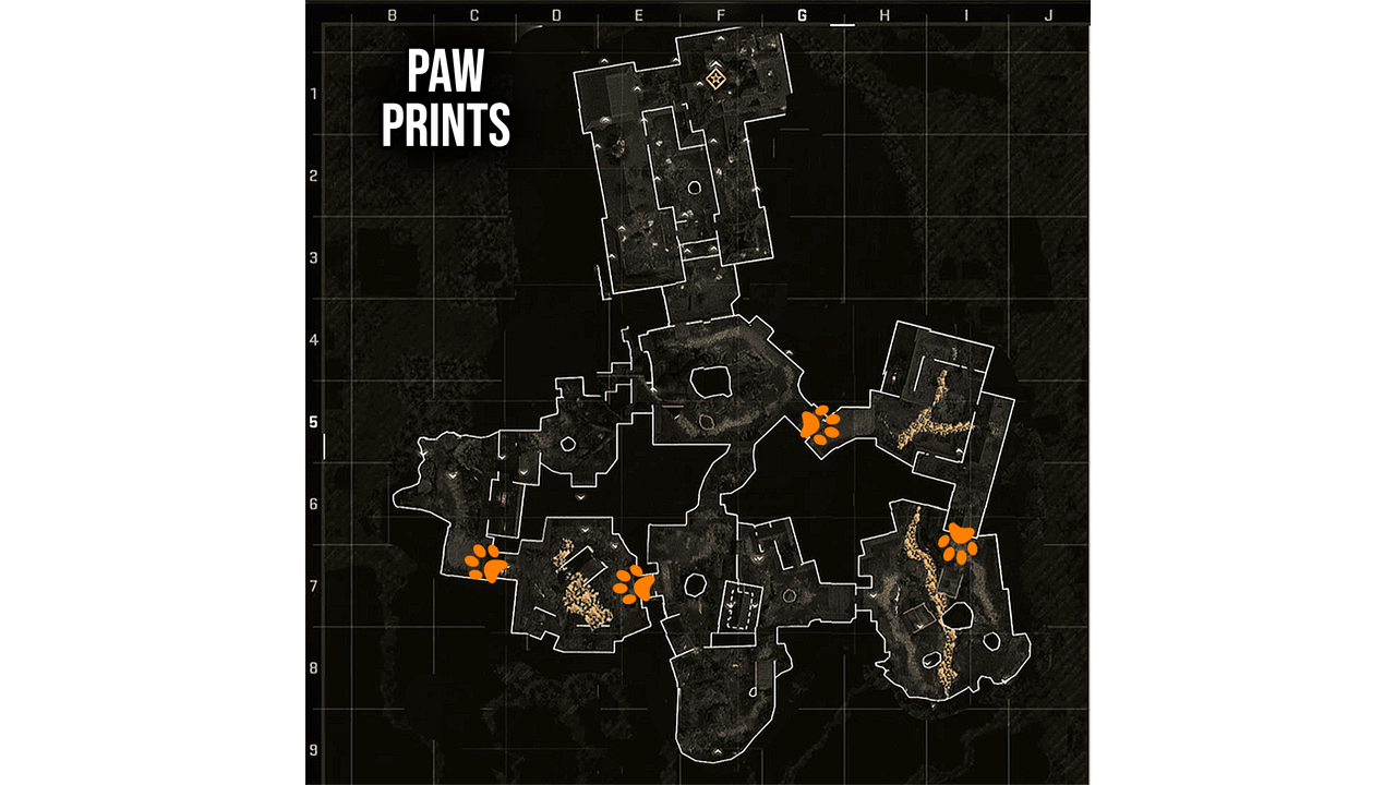Paw Prints