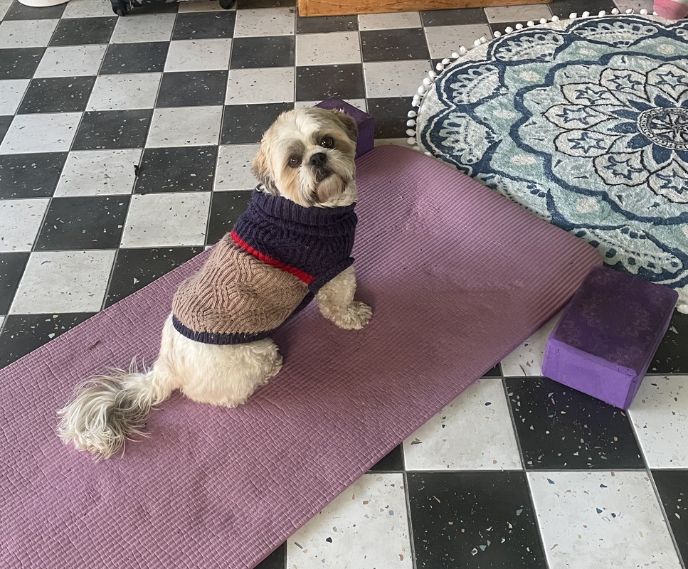 0C0CF11E-3014-48D5-A0E7-698734E4E4FB_1_201_a