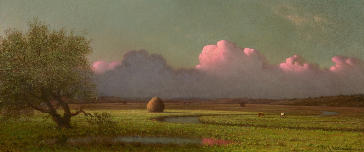 21 9sunlight and shadow the newbury marshes 2010 74 1 result