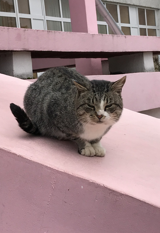 EC944BD6-EC9D-4883-83D0-57372190F4C6