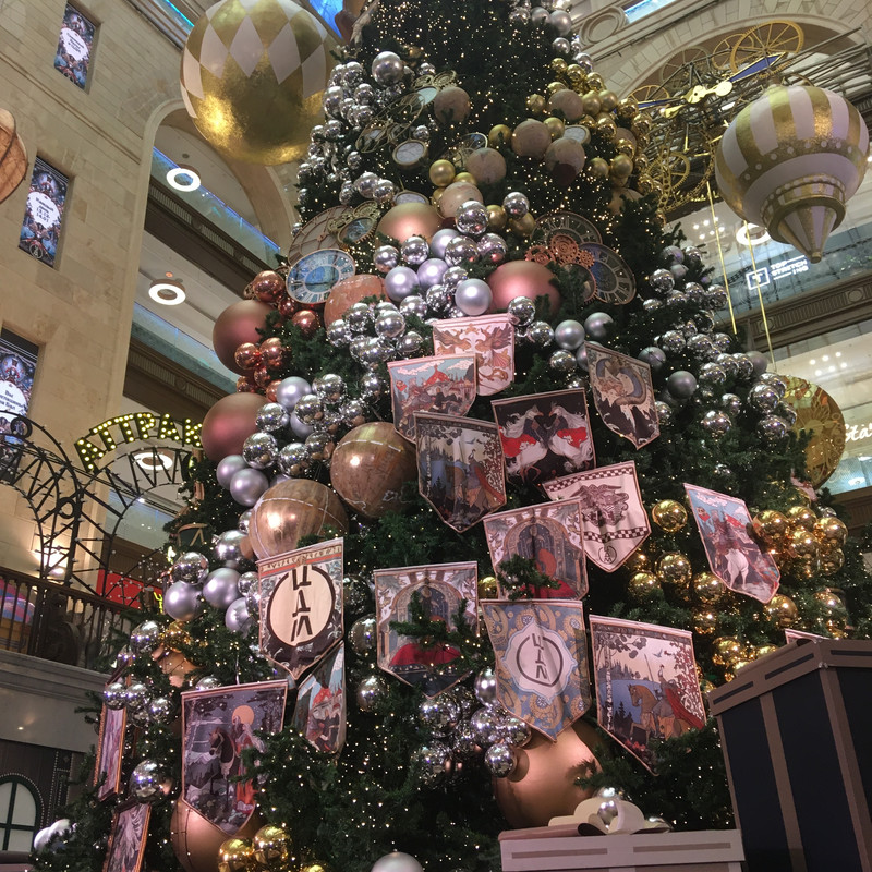 Ладья и Предновогодняя Москва 2025 053