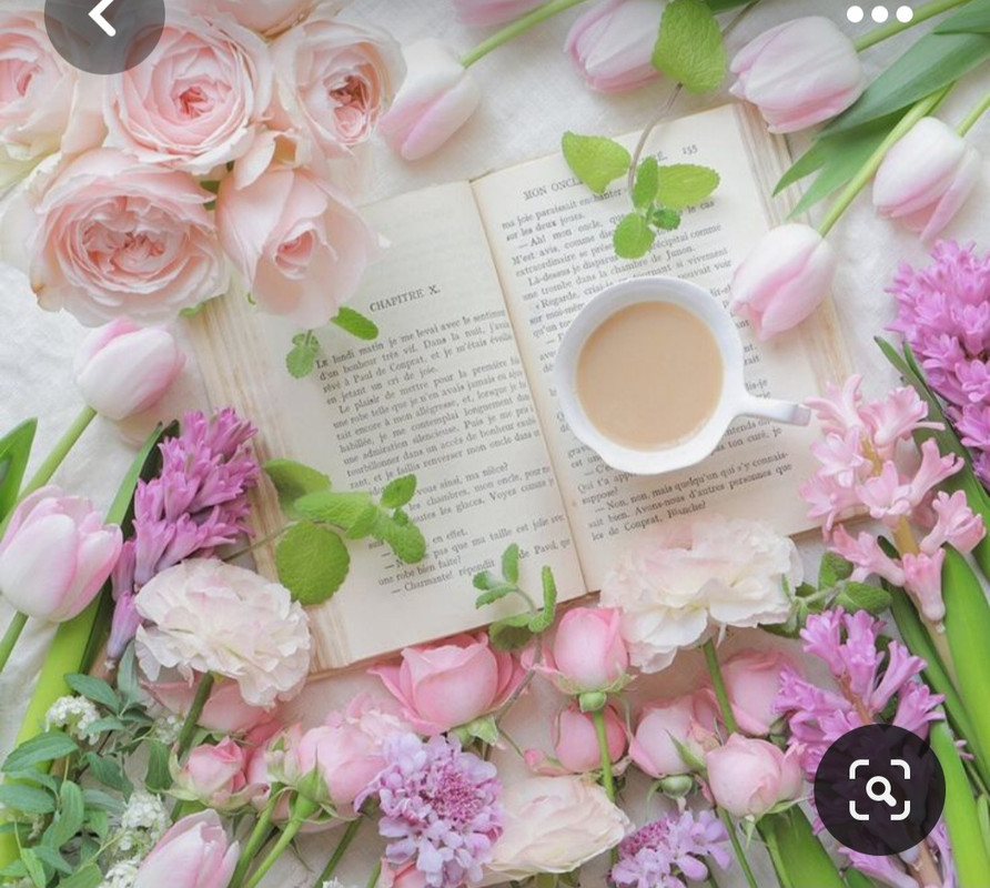 Screenshot_20230717_235529_Pinterest