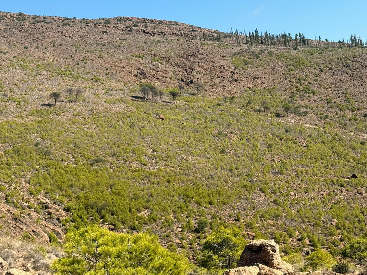 607125385-1928171584784805-627326099505202653-n