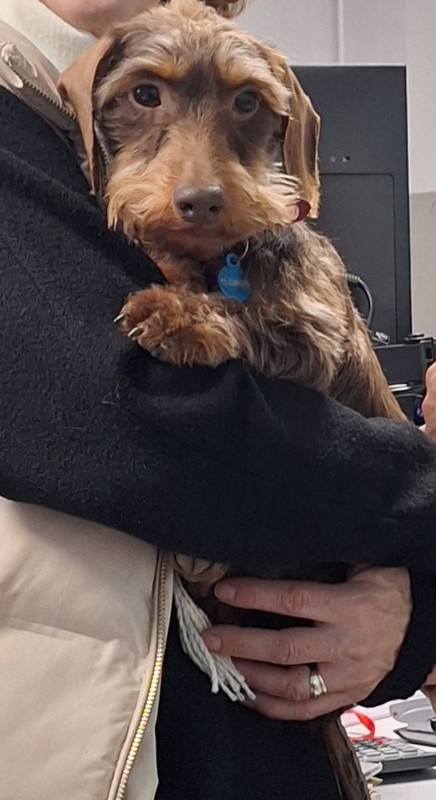 [Image: 20241221-145619.jpg]