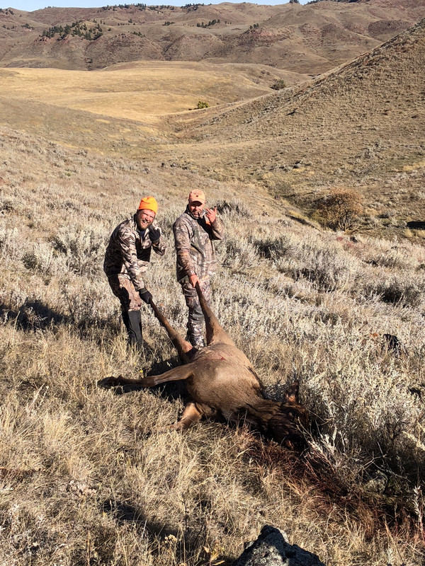 82D25B39-9643-4A94-9D5E-9F11C159B878