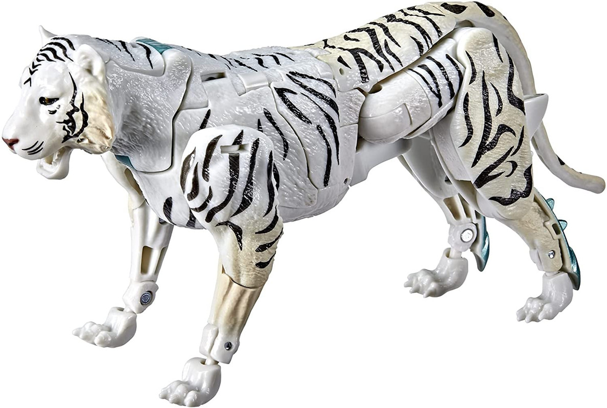 244200620_5225909744090209_8026130060684707841_n