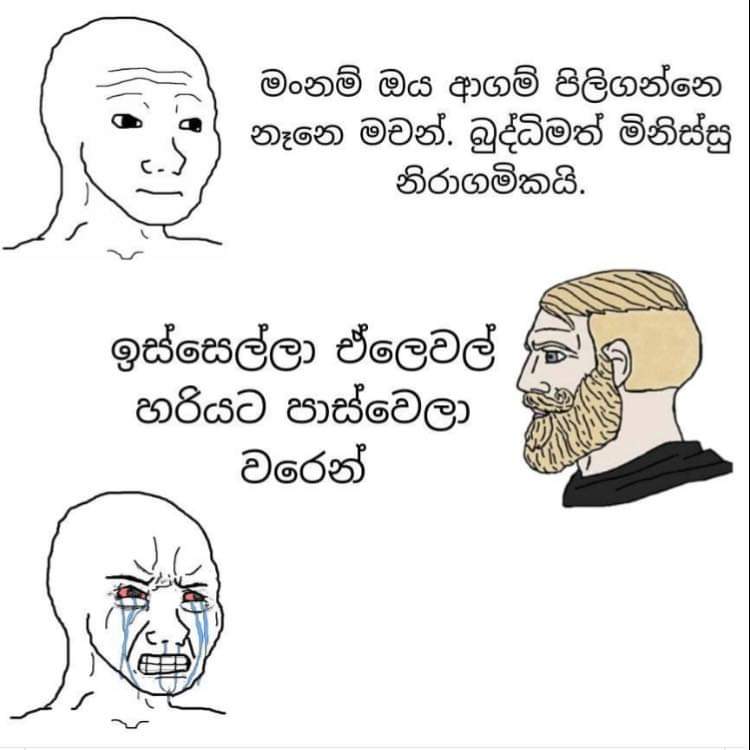 FB-IMG-1663998660903.jpg