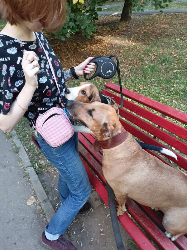 0C994475-7BB0-478F-B9BB-C55DEAAA1036