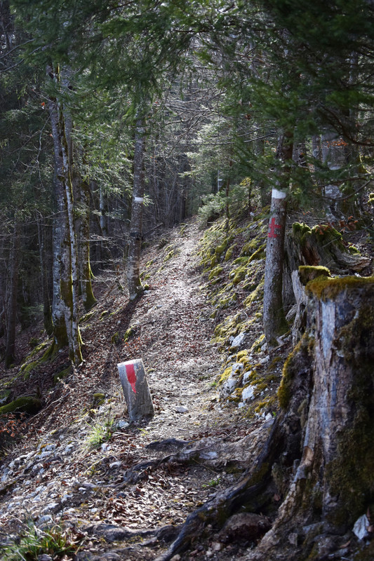 25 - C'était beau, je l'ai remarqué qu'une fois rentré