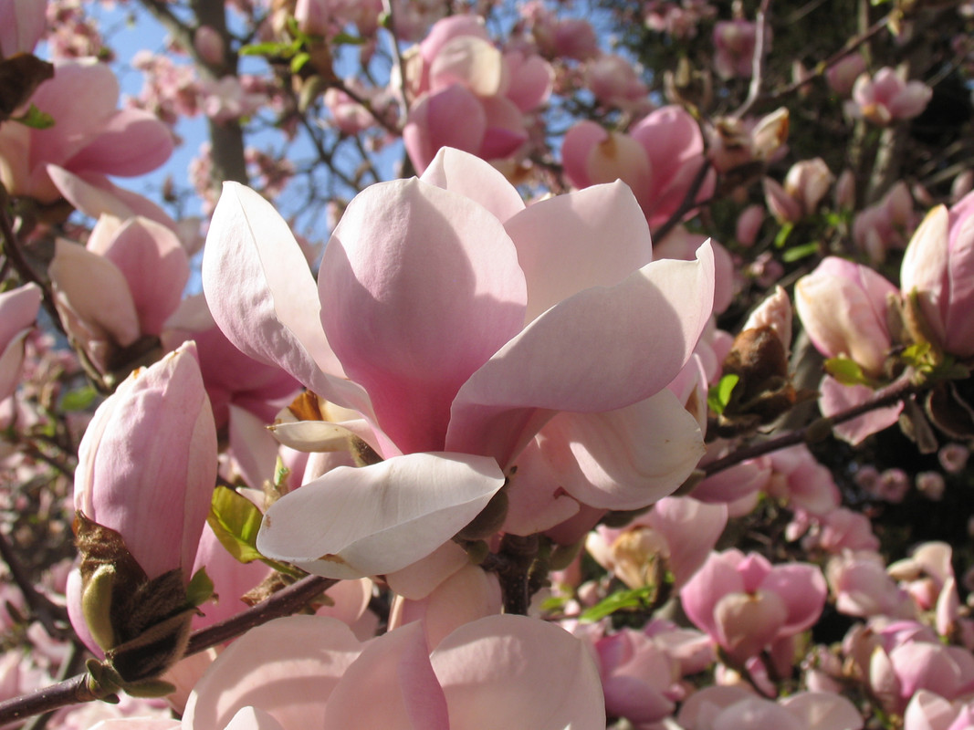 17 апреля 2025 032