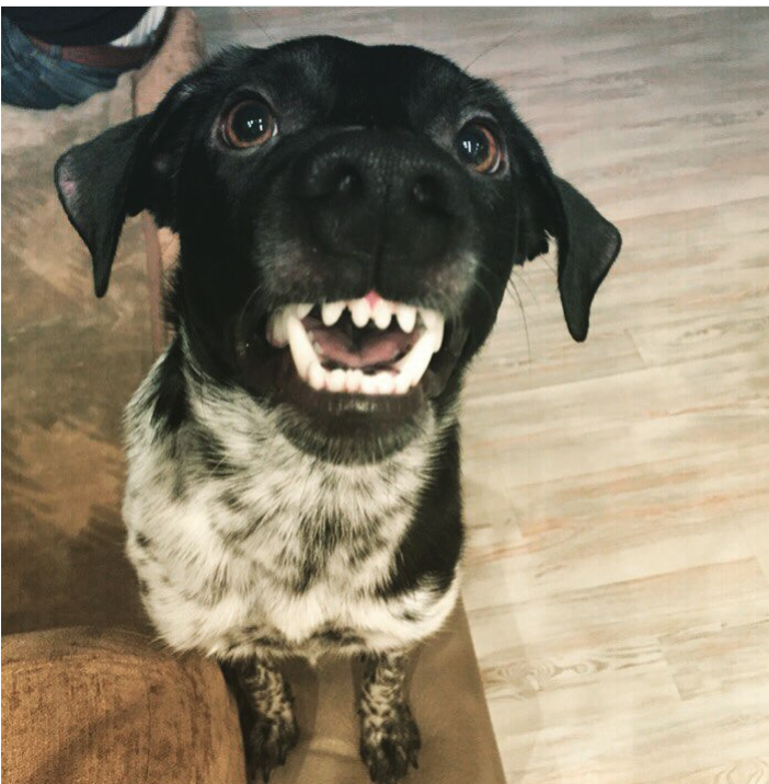 48D95EC9-C180-49E3-9CB9-667A892BDE1F