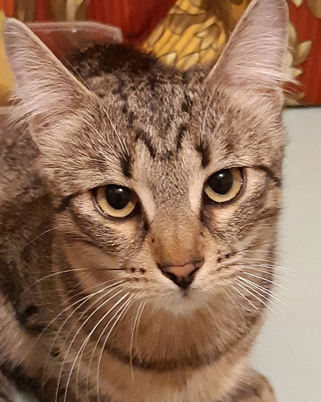 52977328_2391634104180208_3381728688407269215_n