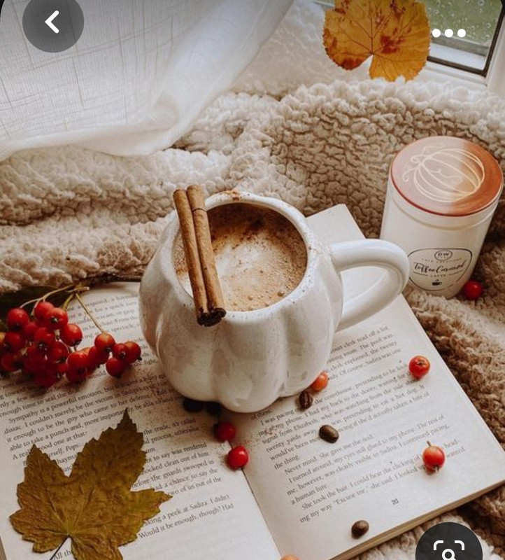 Screenshot_20231031_171921_Pinterest