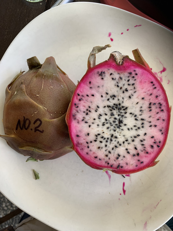 6EAC060A-5E8A-456E-B406-C0382A29611F