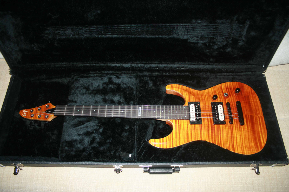 Gtr_in_case