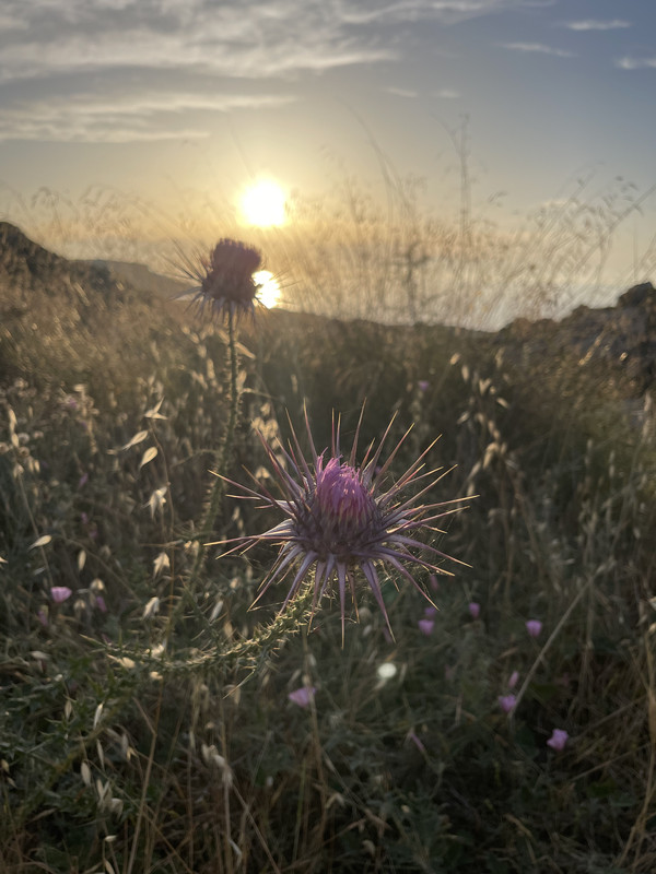 45408A46-7A7F-45CF-B643-AD24BD198AD7