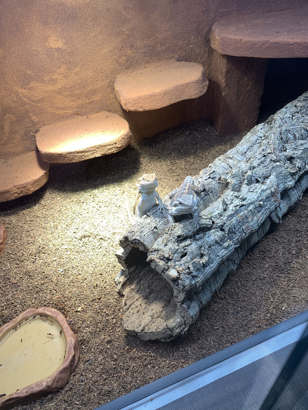 D3B94B48-87A7-4AC1-A4D9-DDCEA0AB7FAB