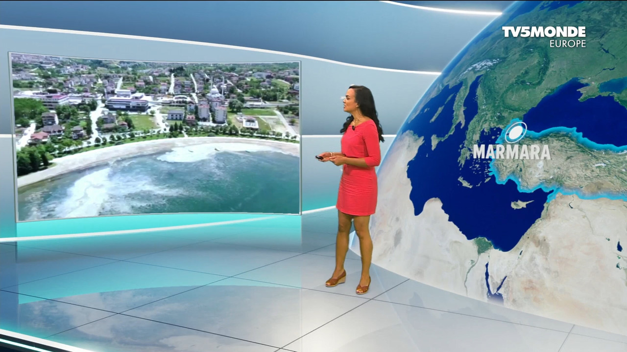 06.07 - 23.59.00 - Météo. Le bulletin météorologique international.ts_snapshot_08.53.185