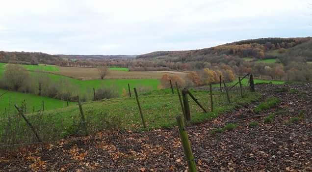 FB_IMG_1479834952692