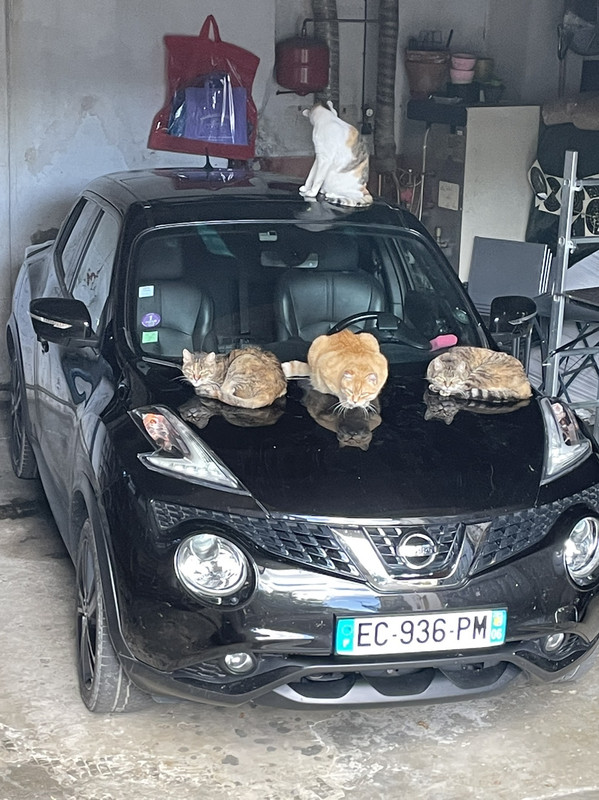 11B18FDE-6470-4A86-B8AC-919E40789F7E