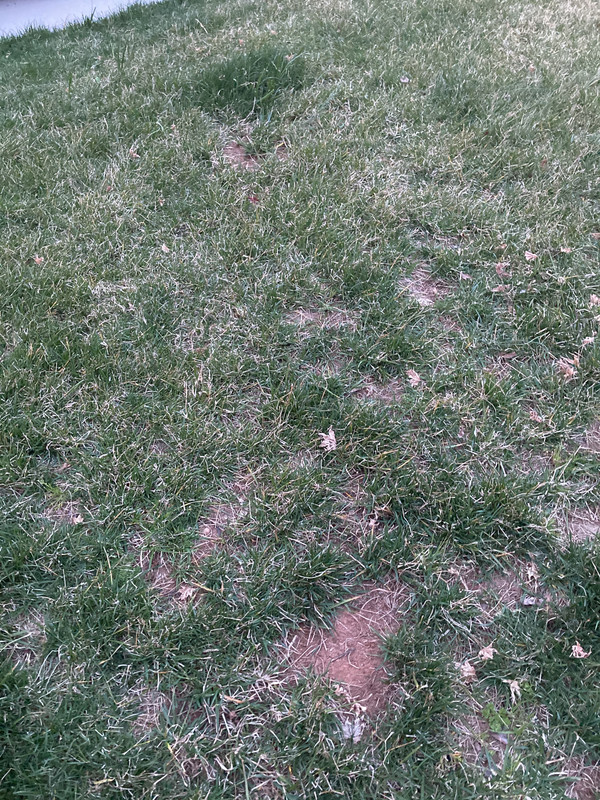 BA5B4F30-BE2E-4E4E-9636-A747F40B0017