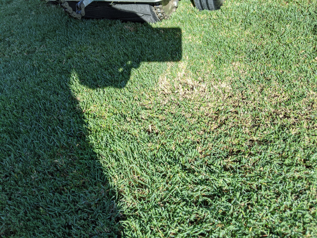 PXL_20200804_210007832.MP