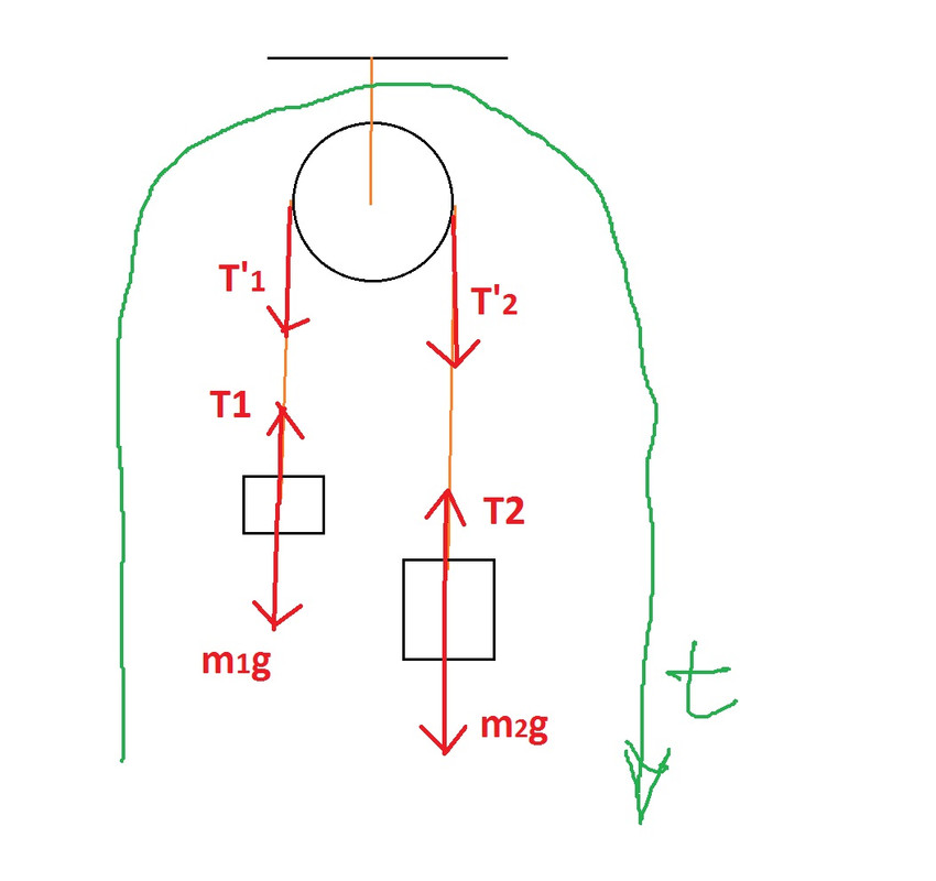 Динамика з-ча рис(t)