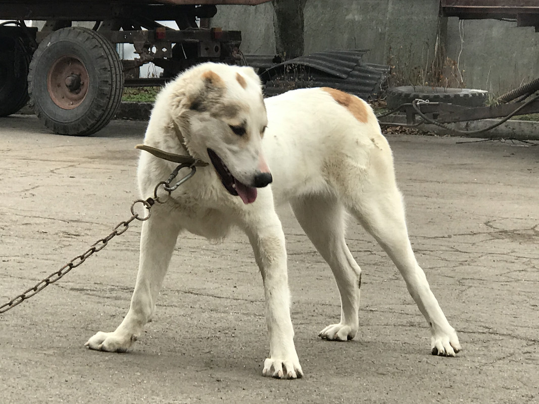 B0A2A166-9036-4B12-B325-F065BE07DD22