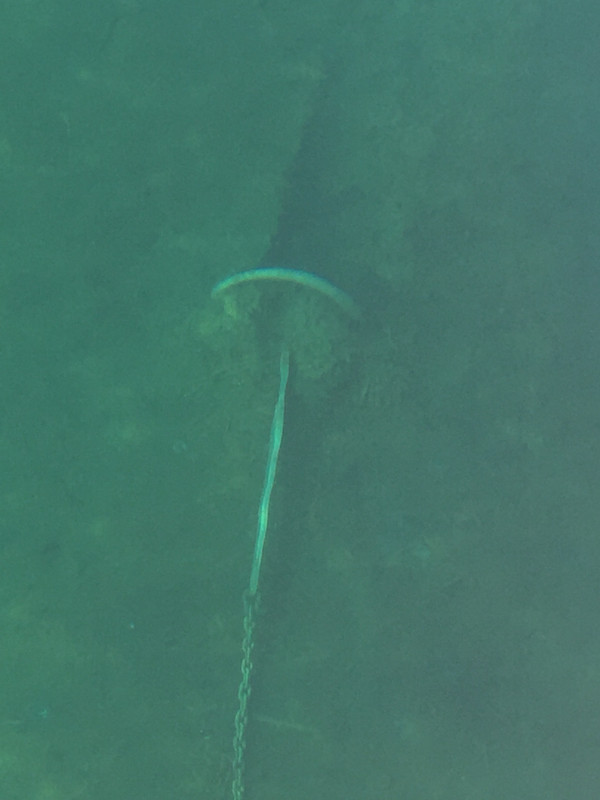 4C2DD116-9675-4D0A-A778-CD487A6E43D5